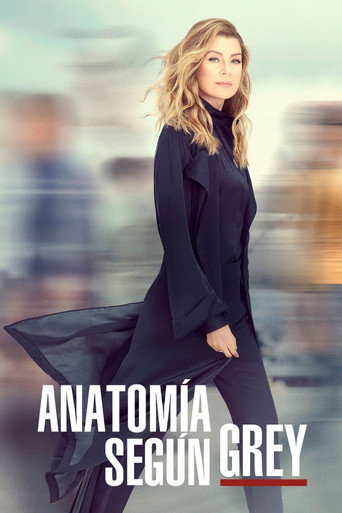 Cartel de Anatomía según Grey